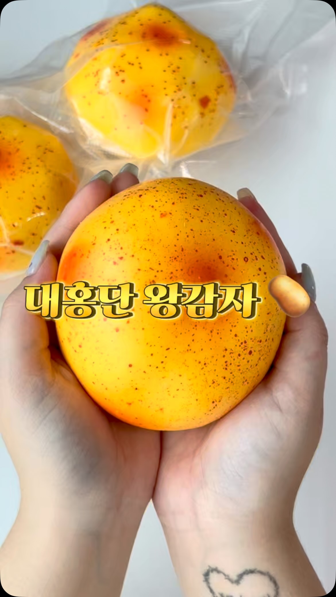 도시락파우치