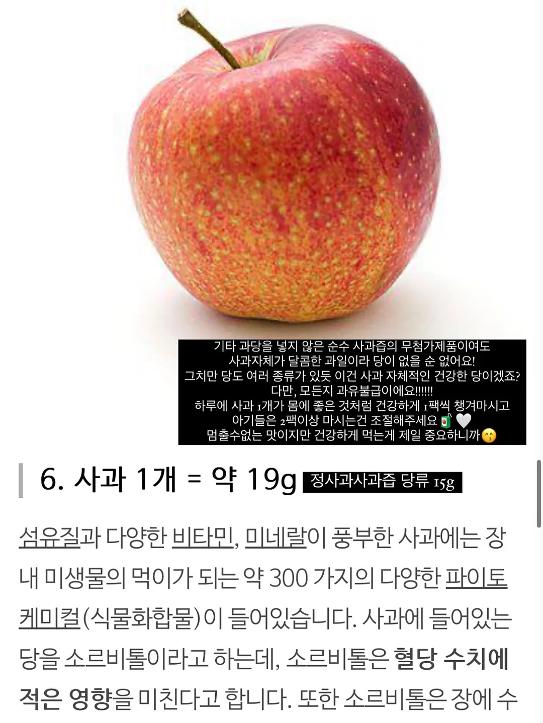 아디다스 삼바 뮬 11
