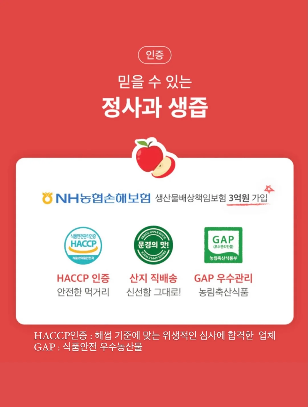 아디다스 삼바 뮬 15