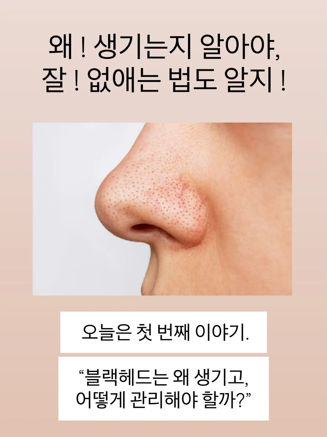 무항생제 햄 4
