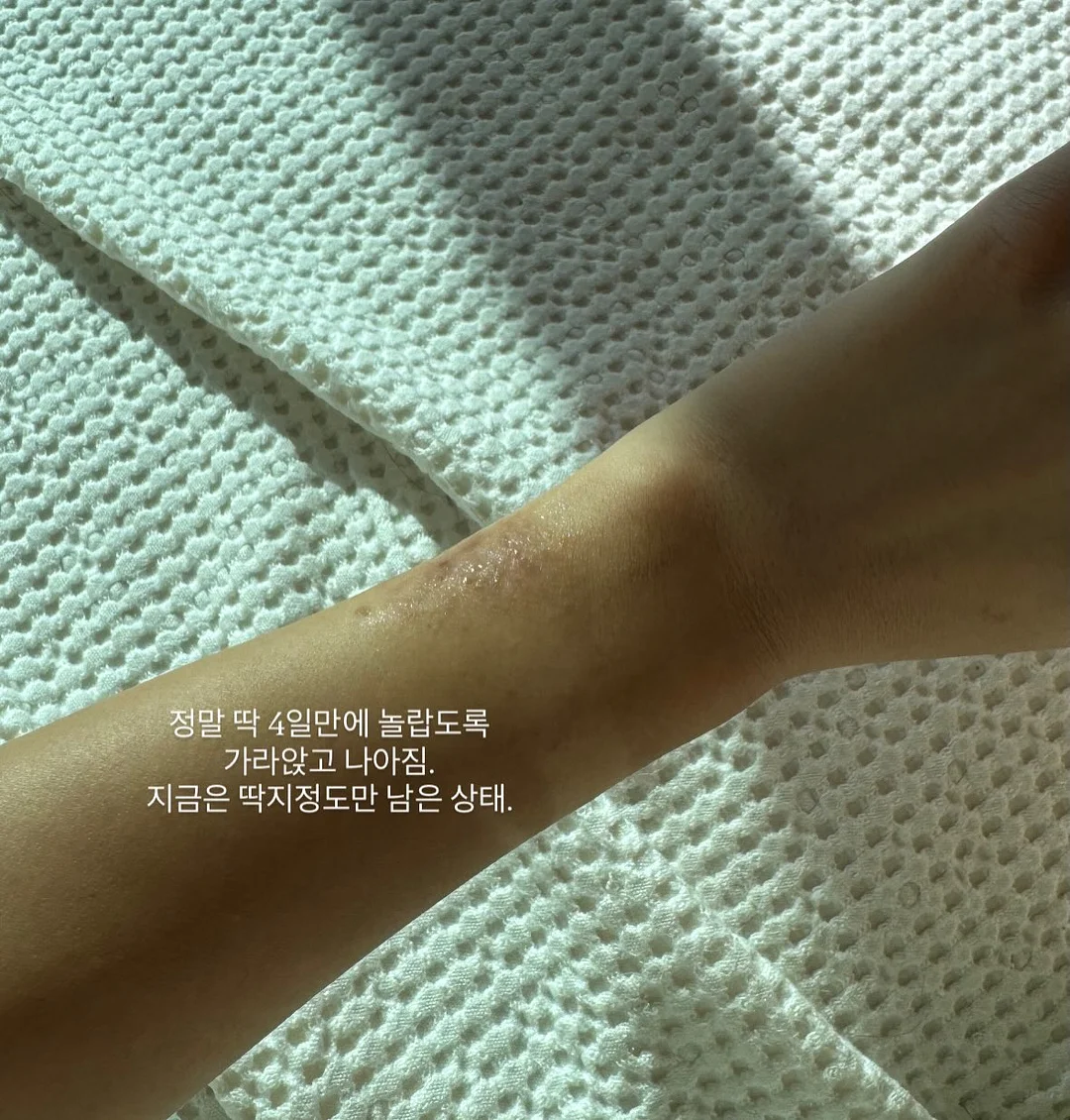 켄트셔츠 5