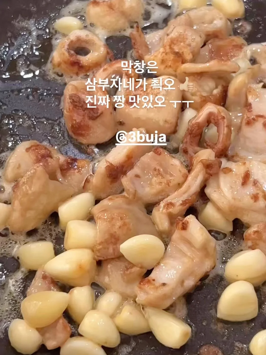 듀마 백팩 19