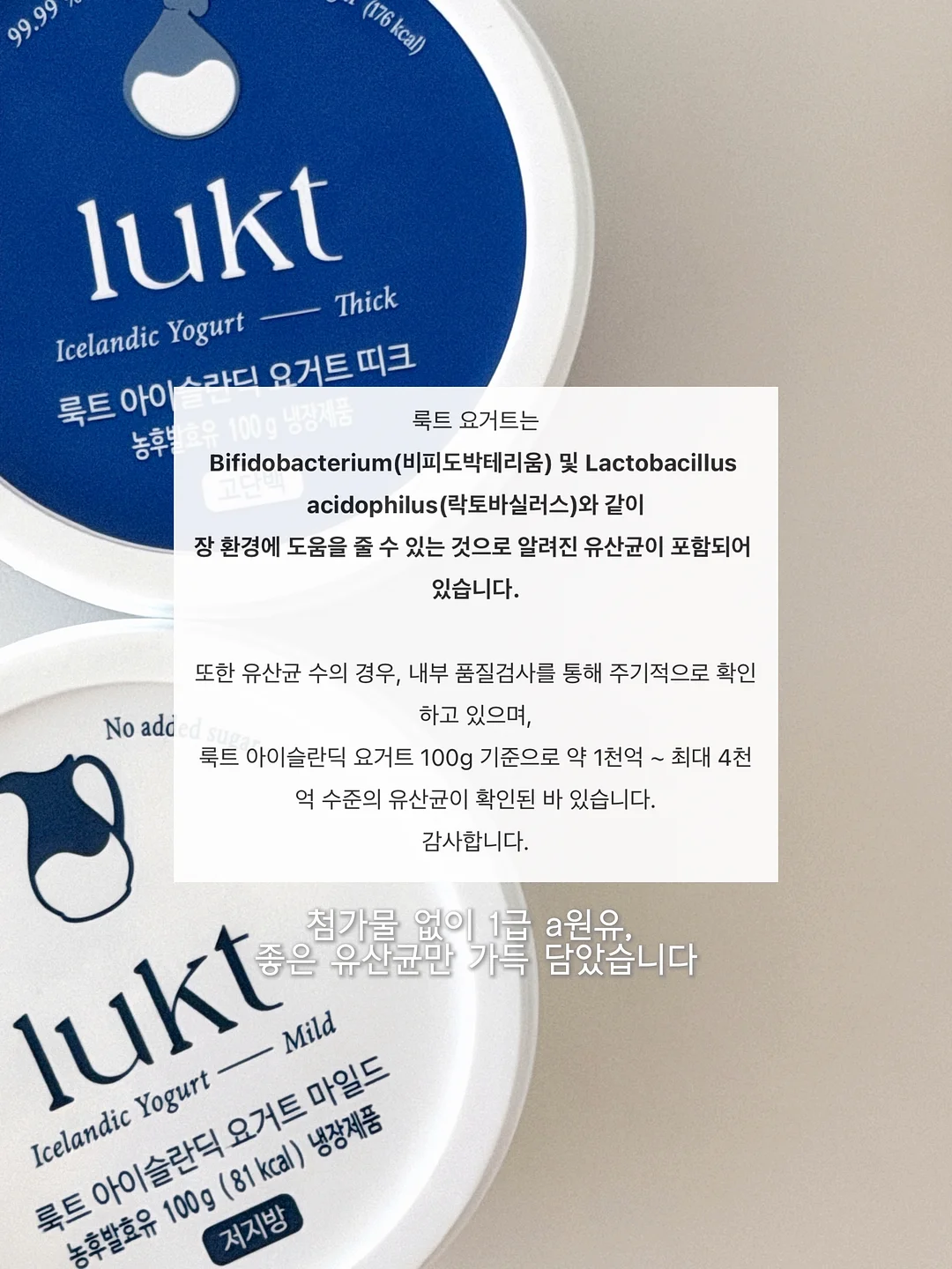 버터구이오징어 9