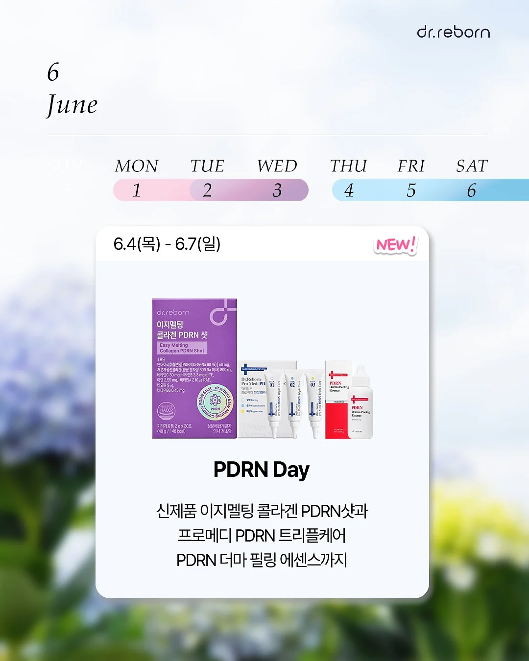 음악극 〈눈이 부시게〉 3