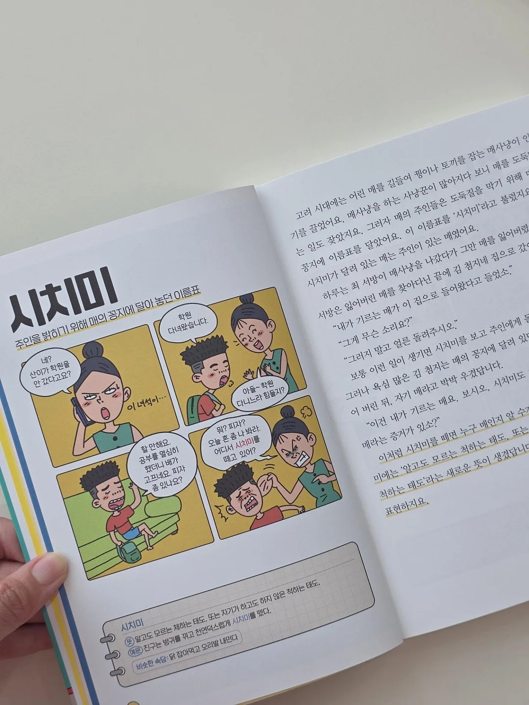 솔레이 코튼 티셔츠 12
