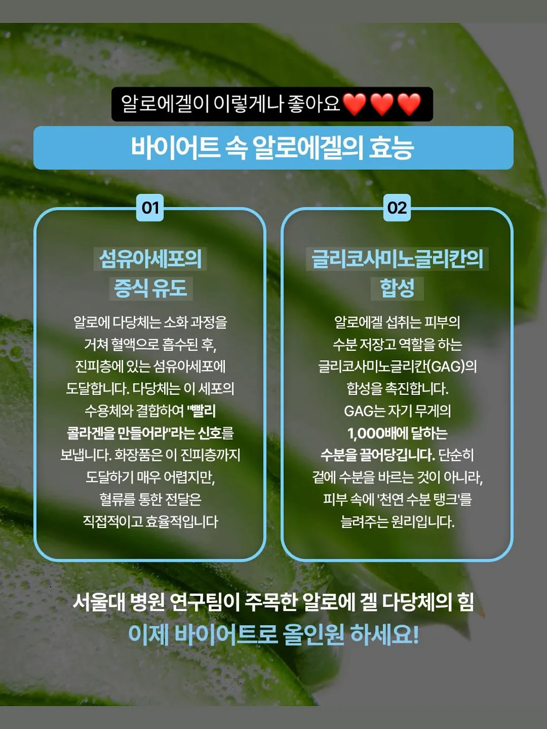 오징어 10봉 3