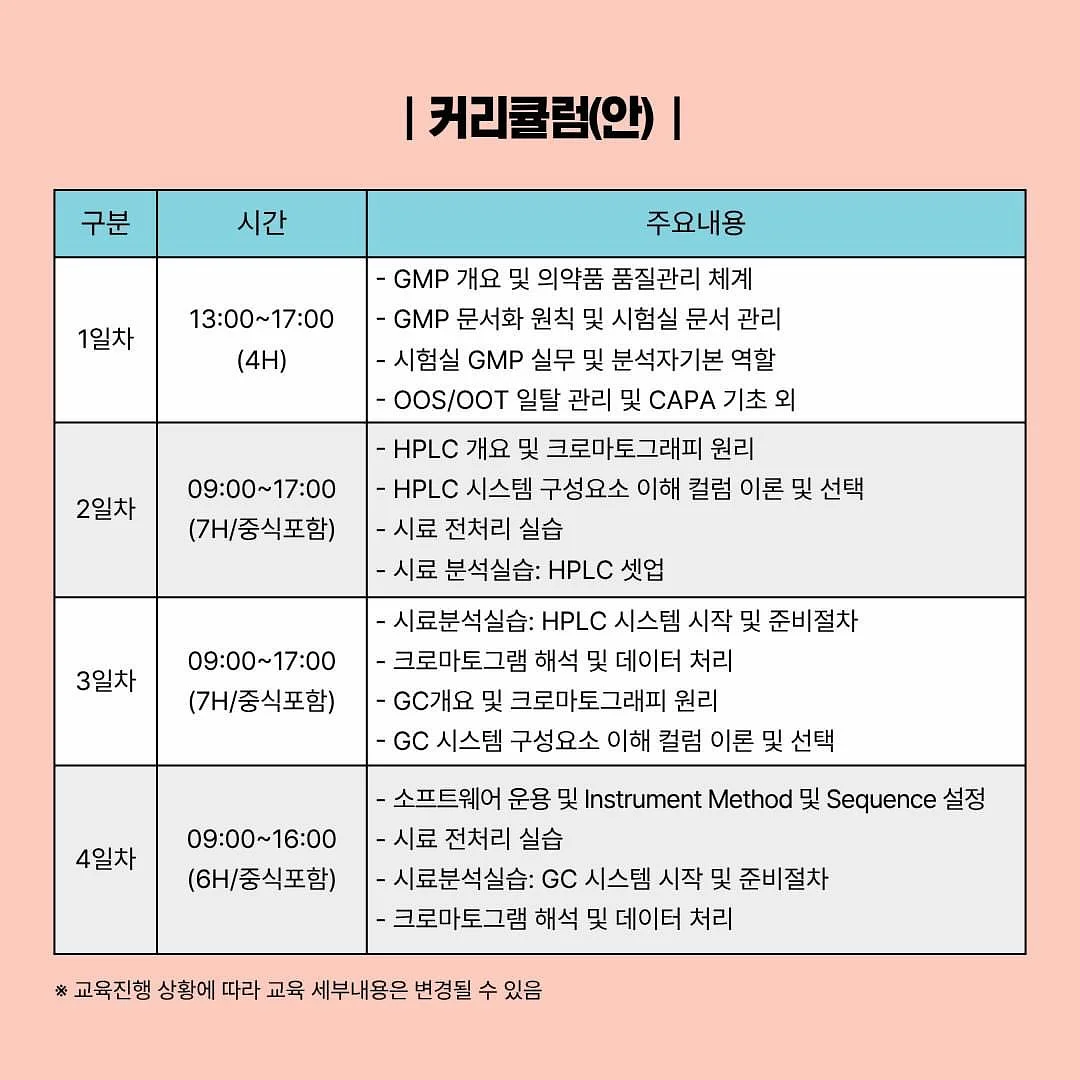 더치 플리츠 뒤트임 롱 스커트 3