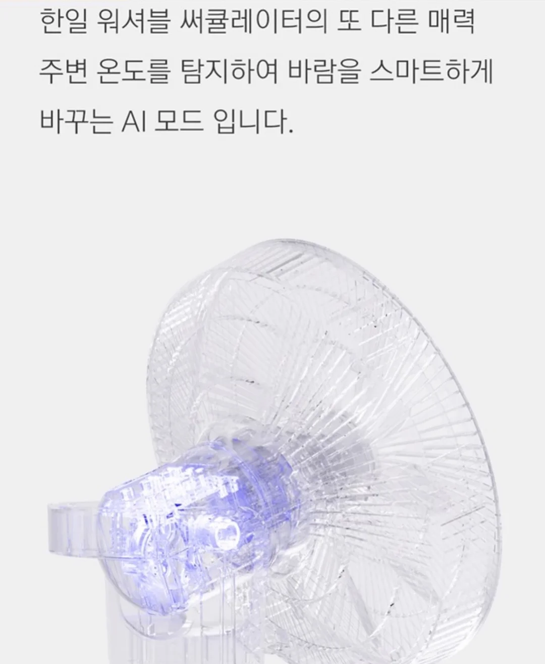 시아르떼 타투니들 12