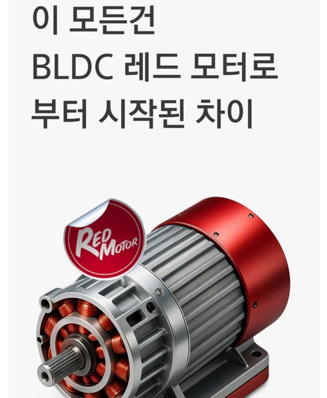 시아르떼 타투니들 14