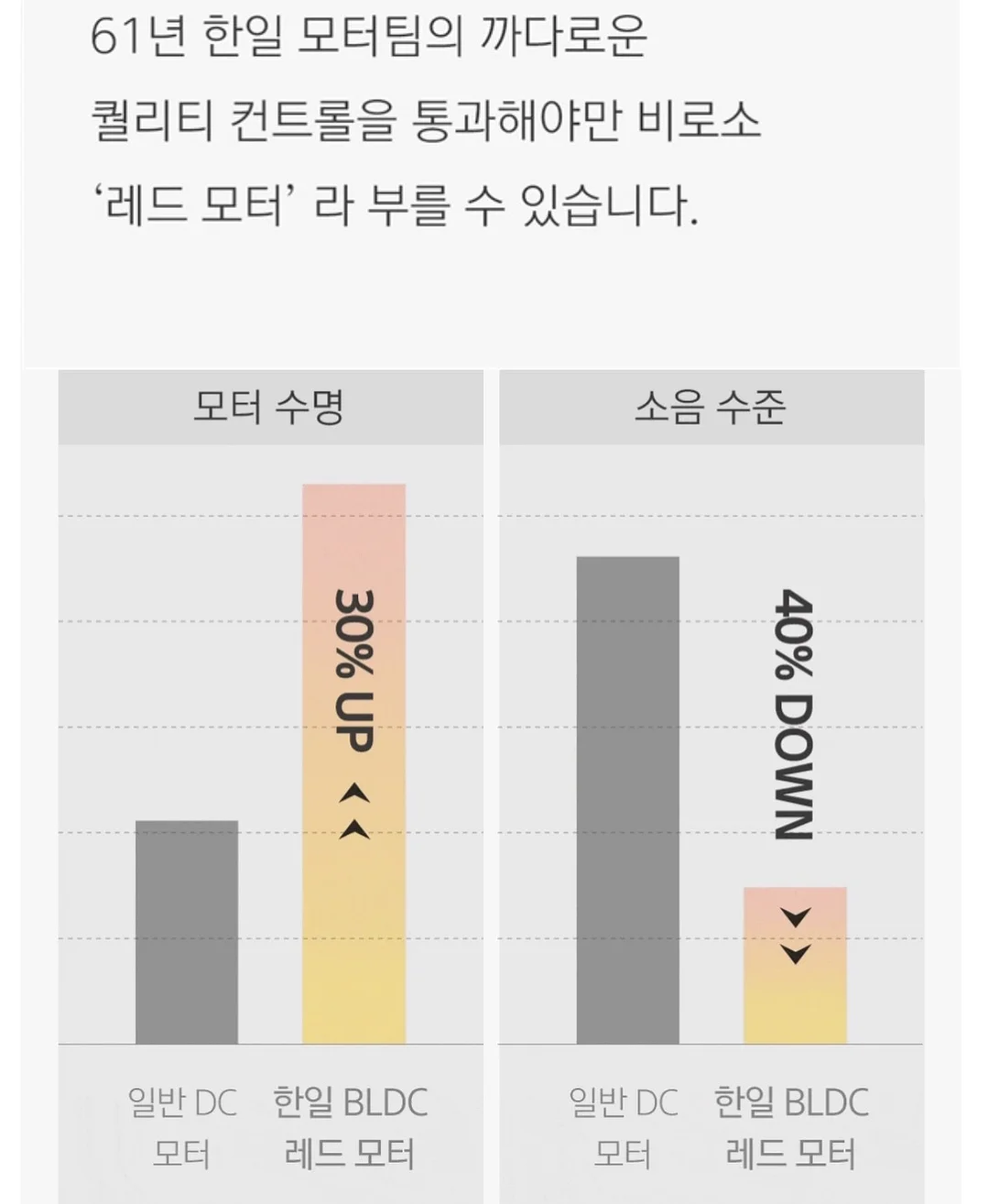 시아르떼 타투니들 15