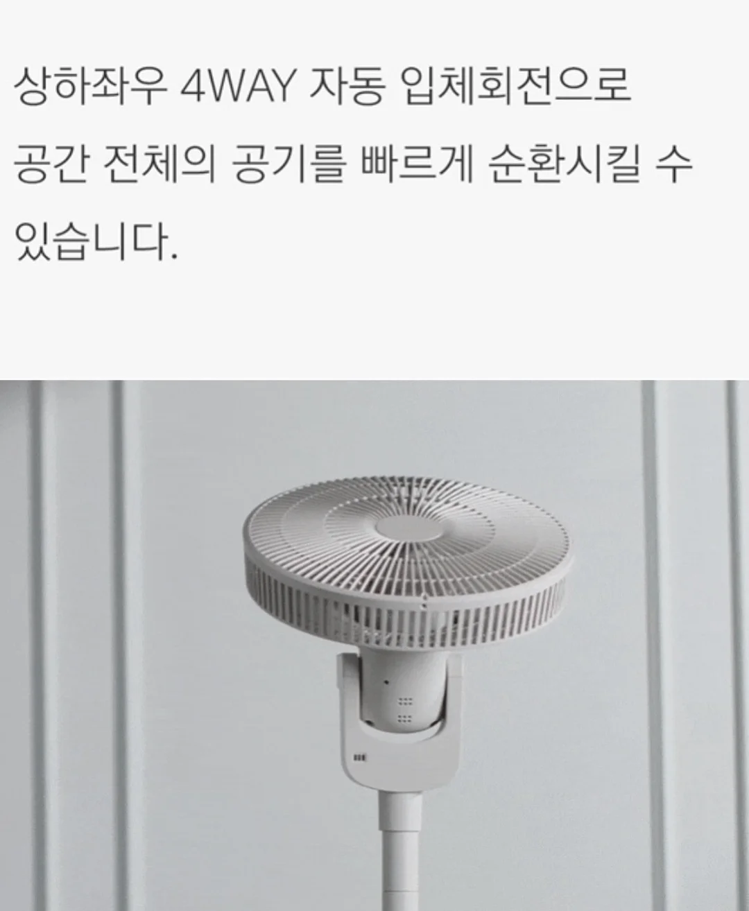 시아르떼 타투니들 17
