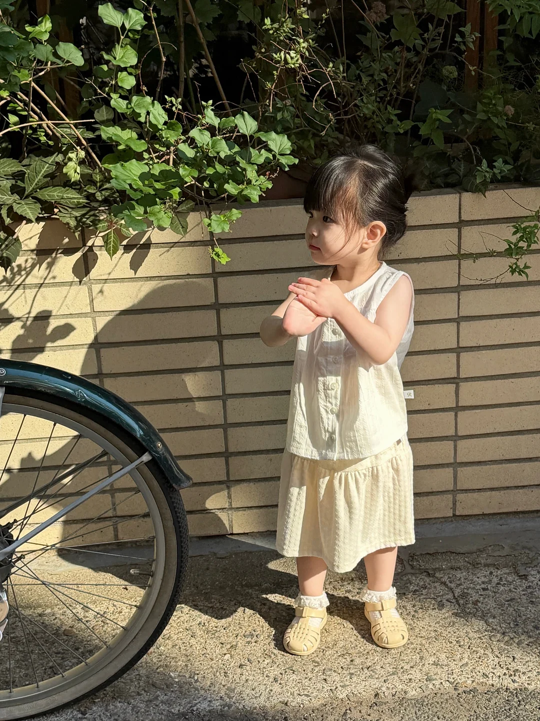 타포린백 1