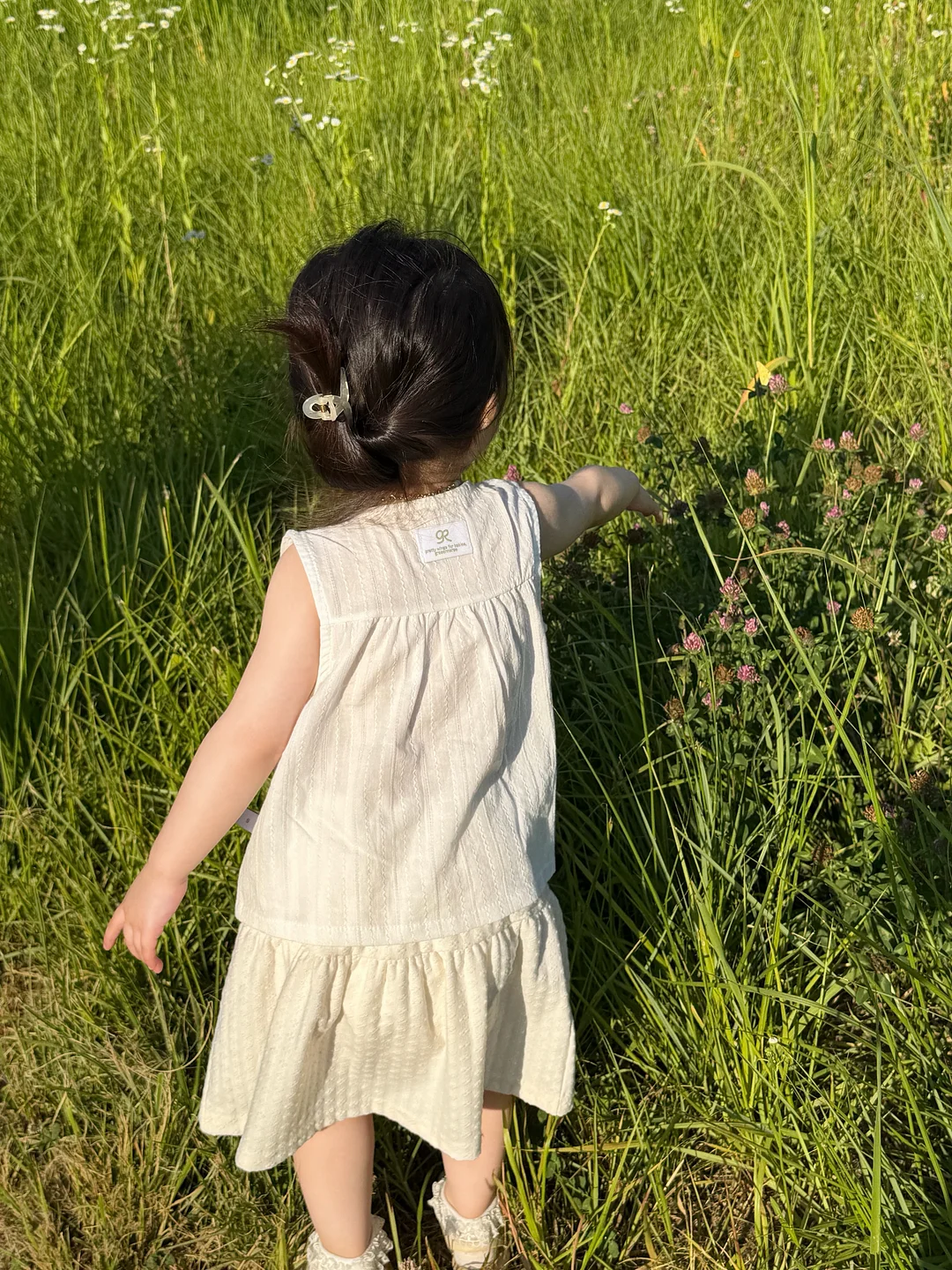 타포린백 12