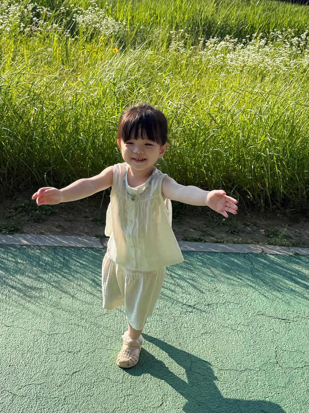 타포린백 8