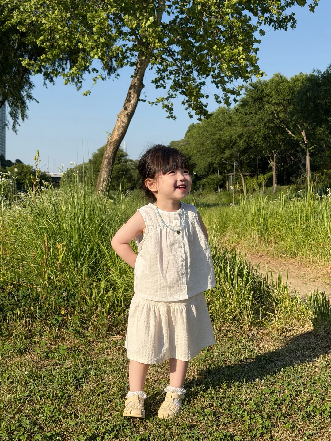타포린백 10