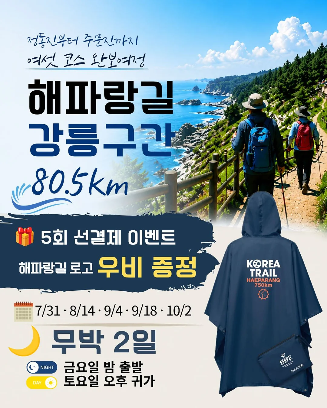 토들즈 모리데이베드 플레인