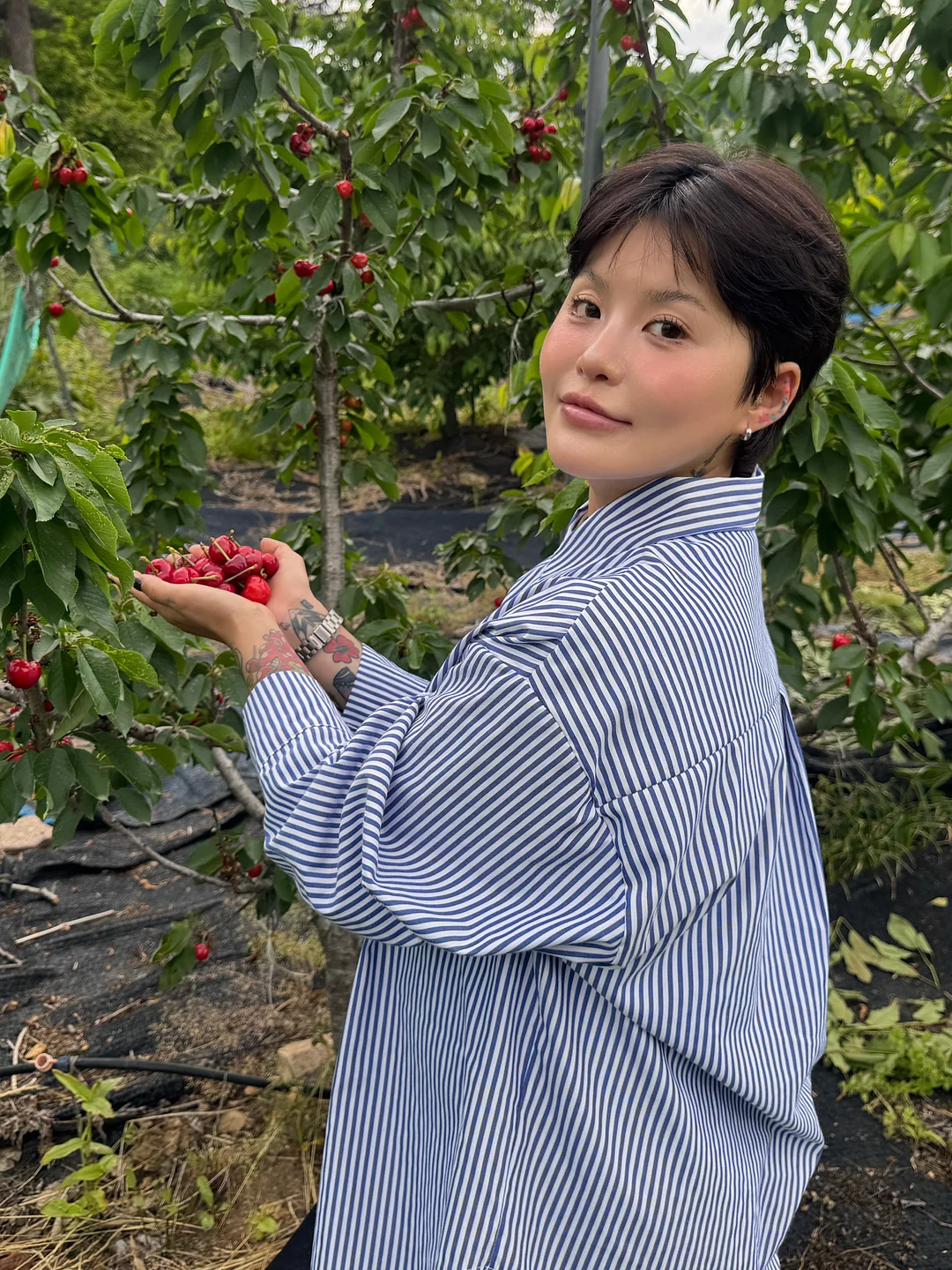 모몽 플라워 카시트 이동가방 1