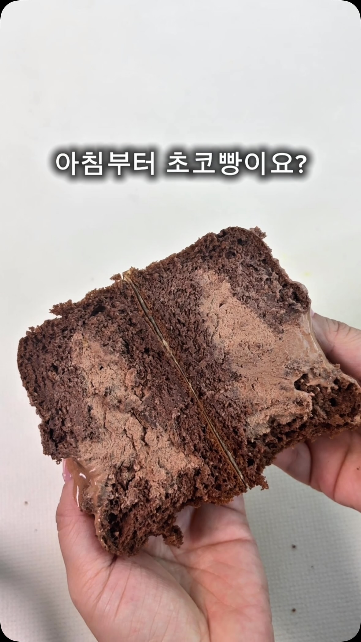 올포홈 로고 테리빕