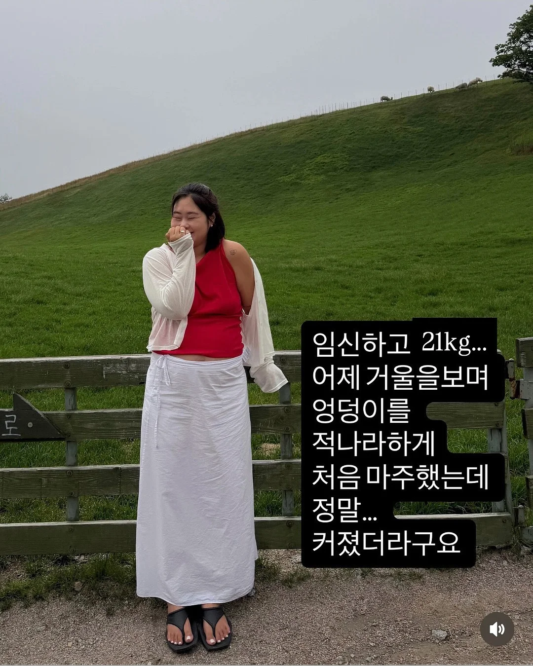 곰신군화포스터 2