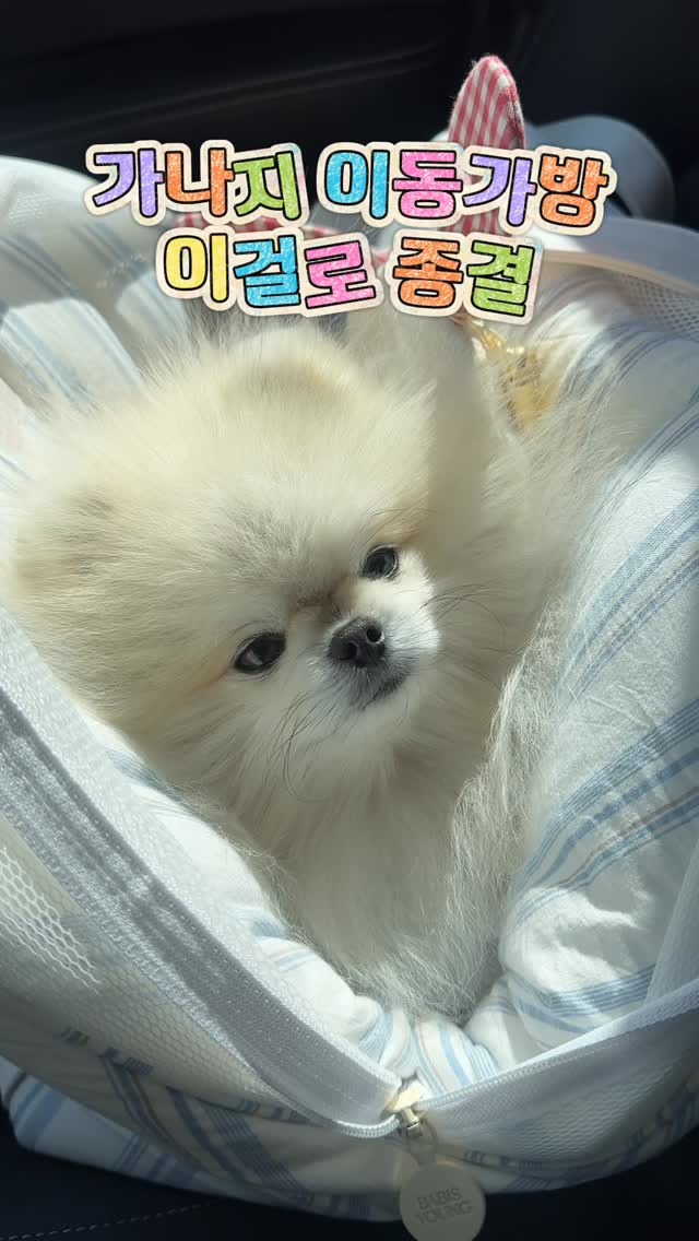 린넨텐셀 반팔티셔츠
