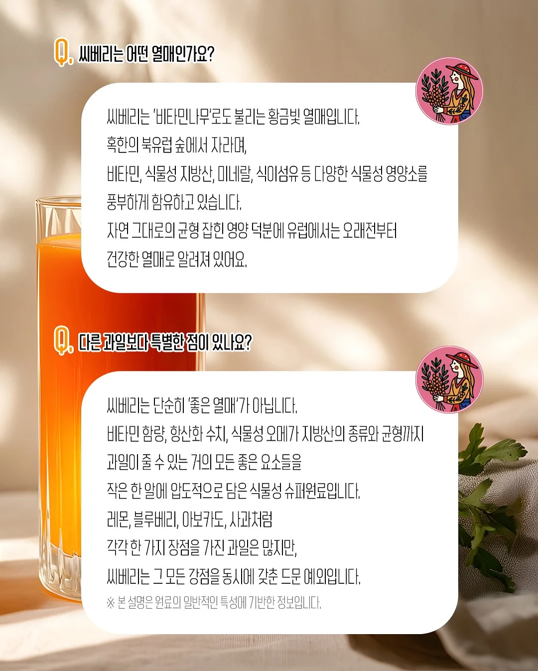 프리미엄 탄소섬유 우양산 12