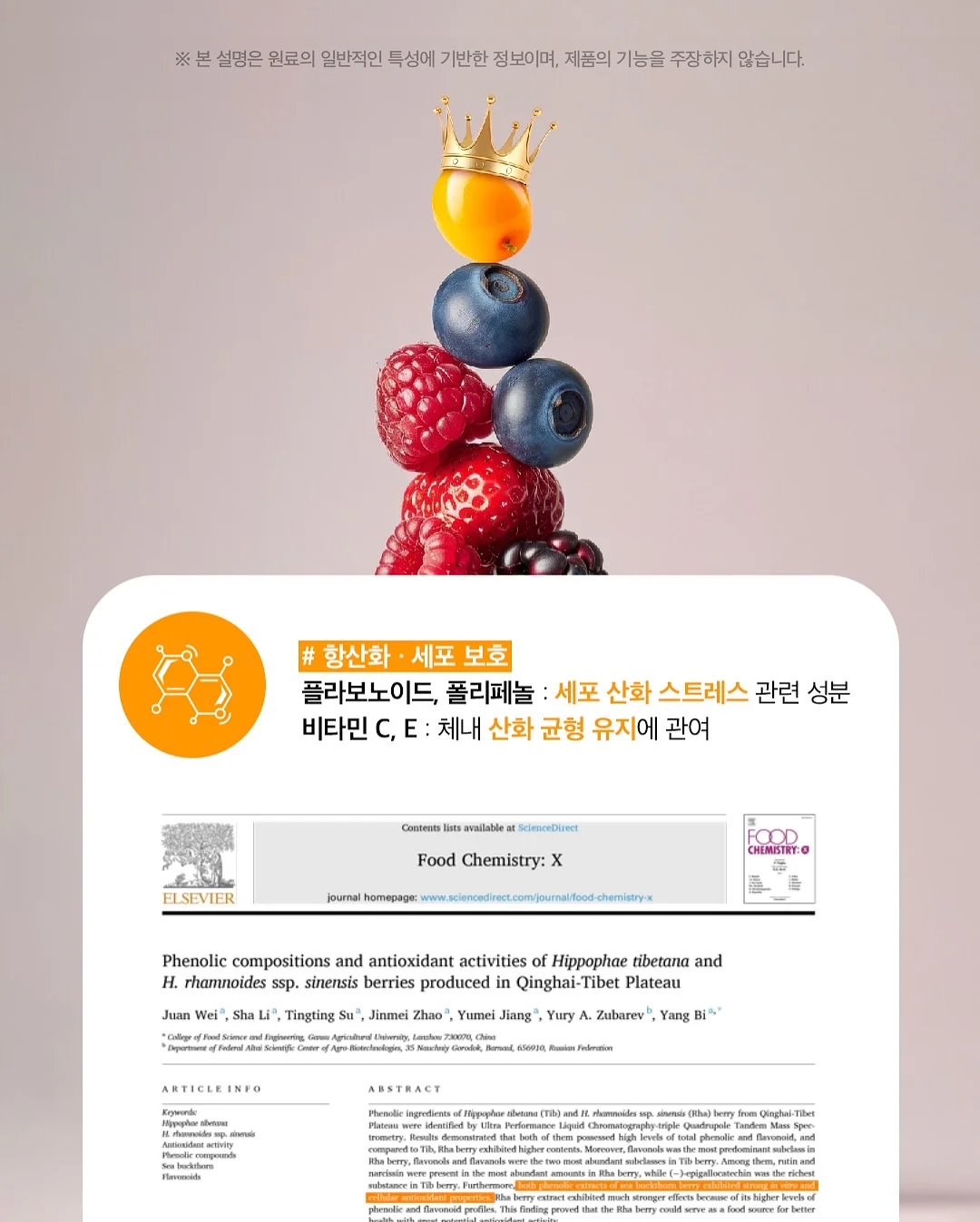 프리미엄 탄소섬유 우양산 9