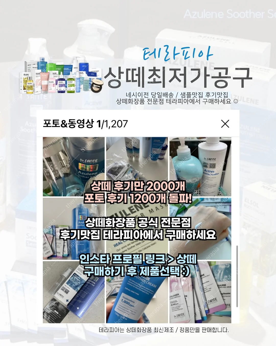 소프트 리본 폴로티 3