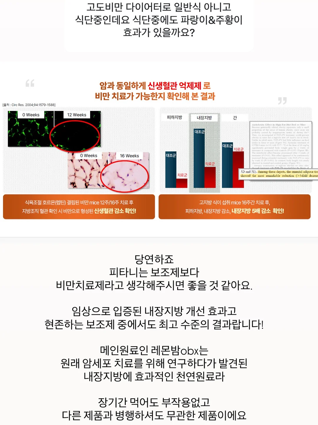 코큐텐 7