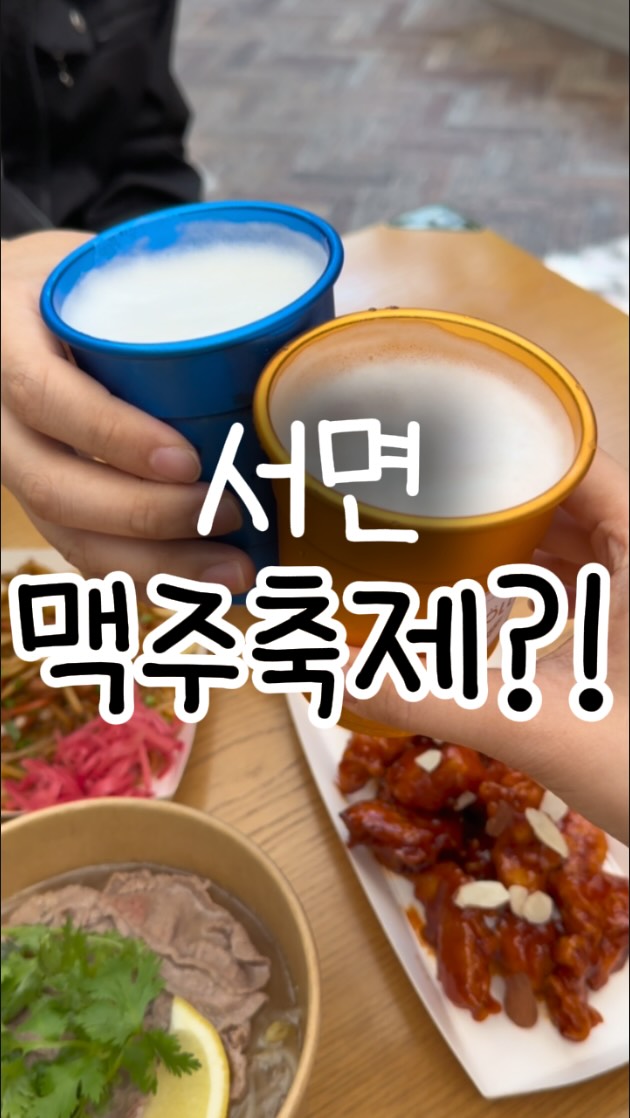 싸움의 교양 시리즈