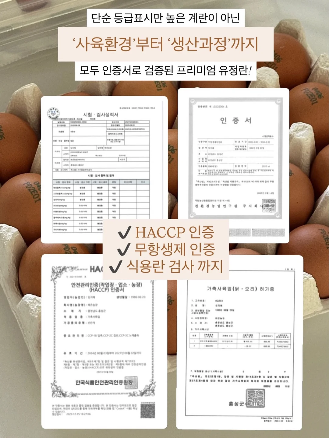 구움과자케이크 7