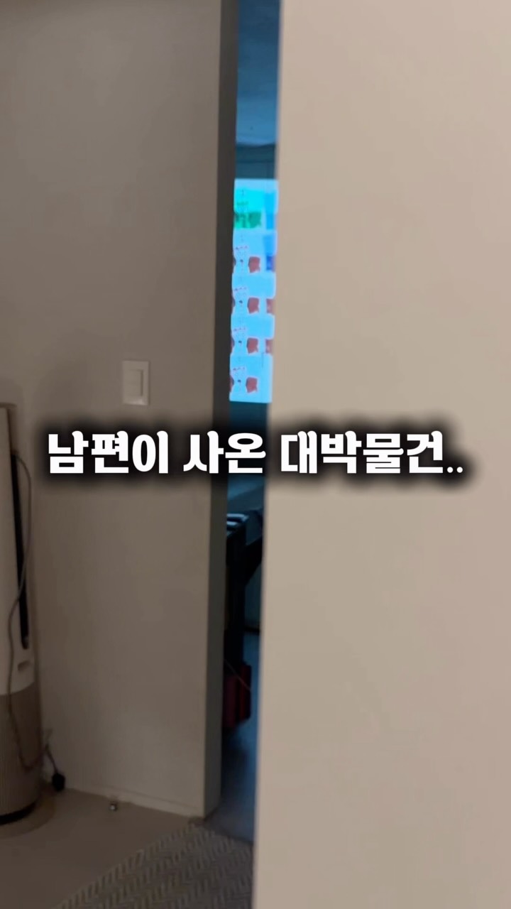 링클프리고쟁이 & 젤리핏나시