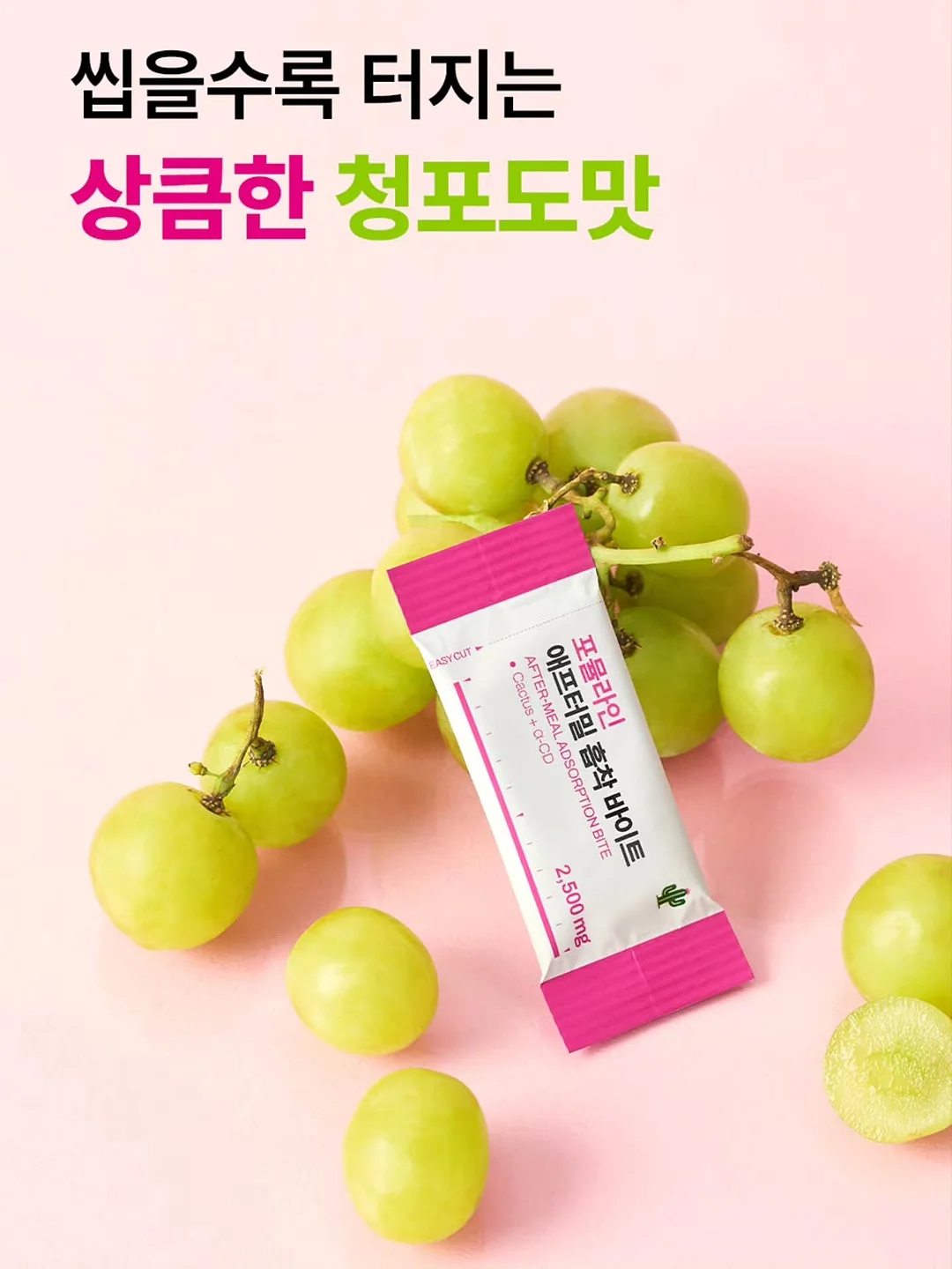식전영상 11