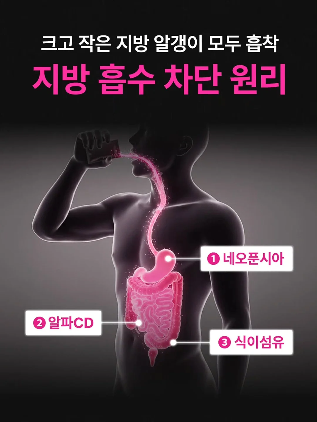 식전영상 3