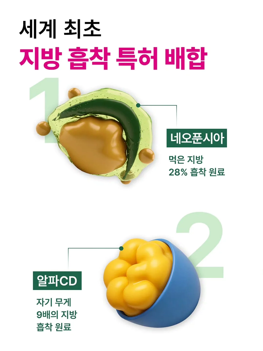 식전영상 4