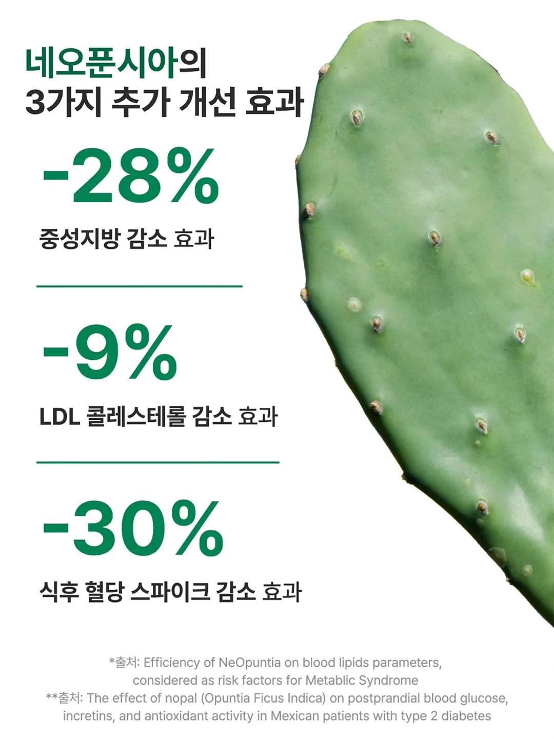 식전영상 7