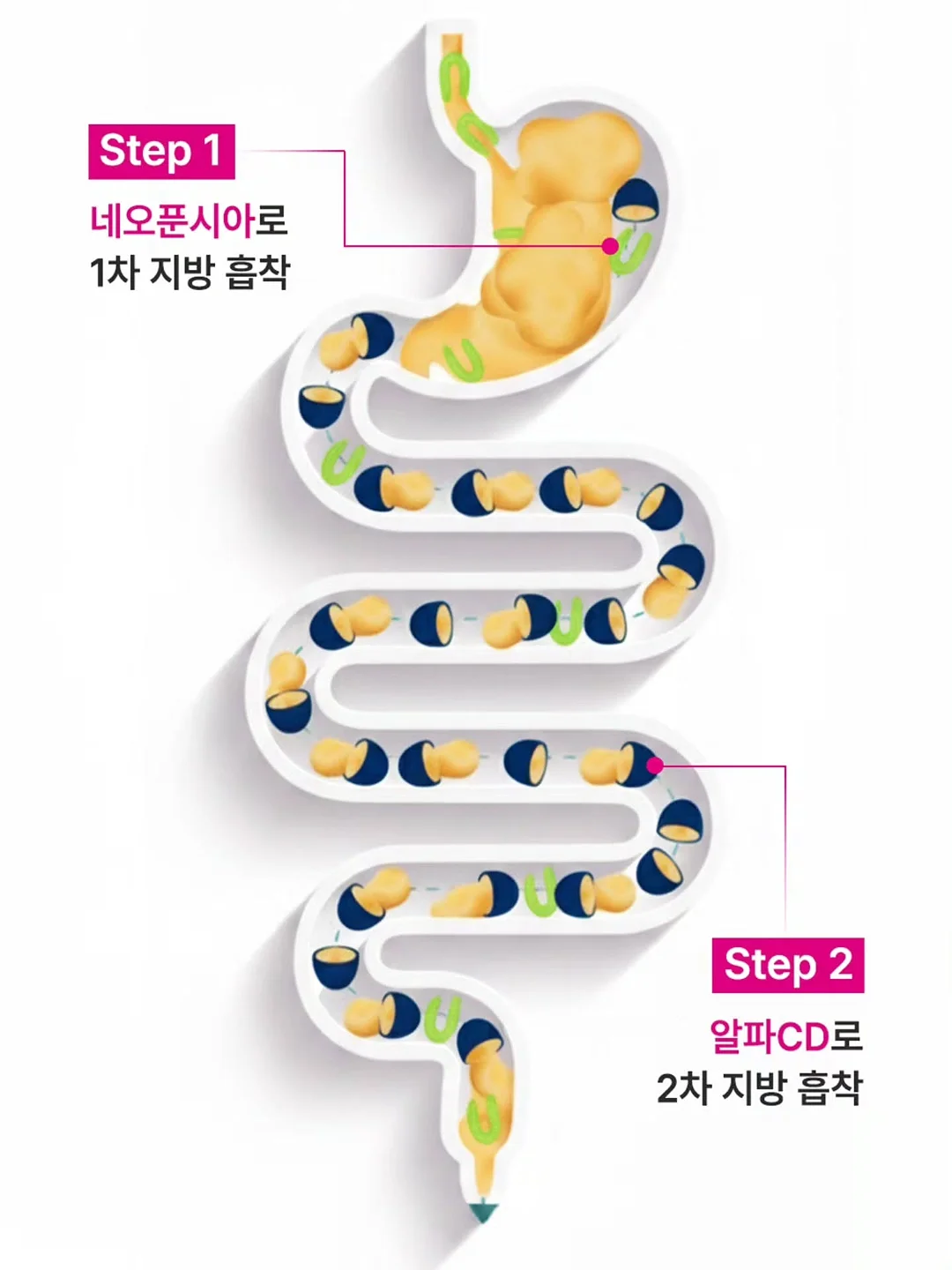 식전영상 8