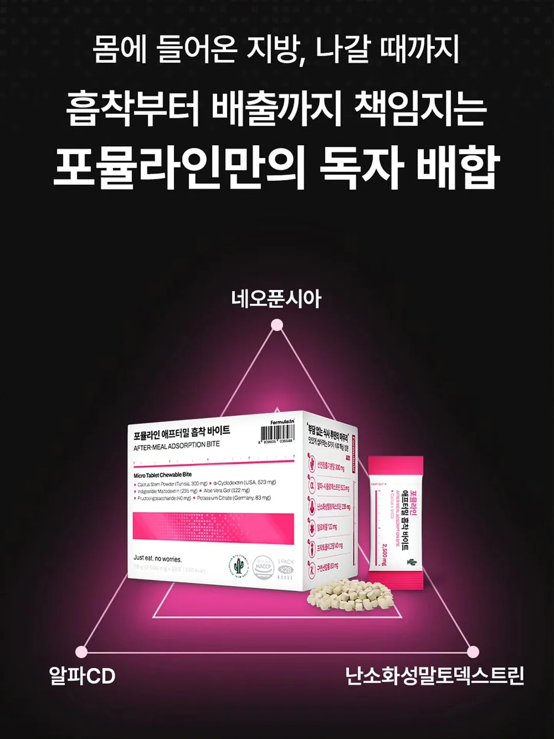 식전영상 10
