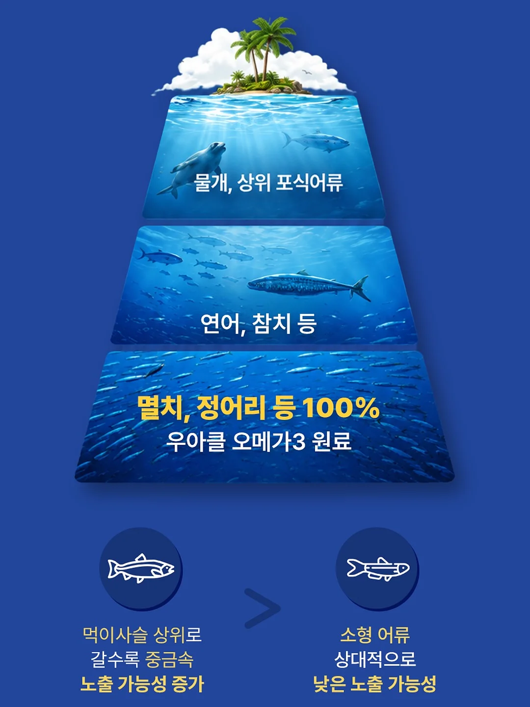 메디플라워 해면 / 화이트래빗 일회용 해면 12
