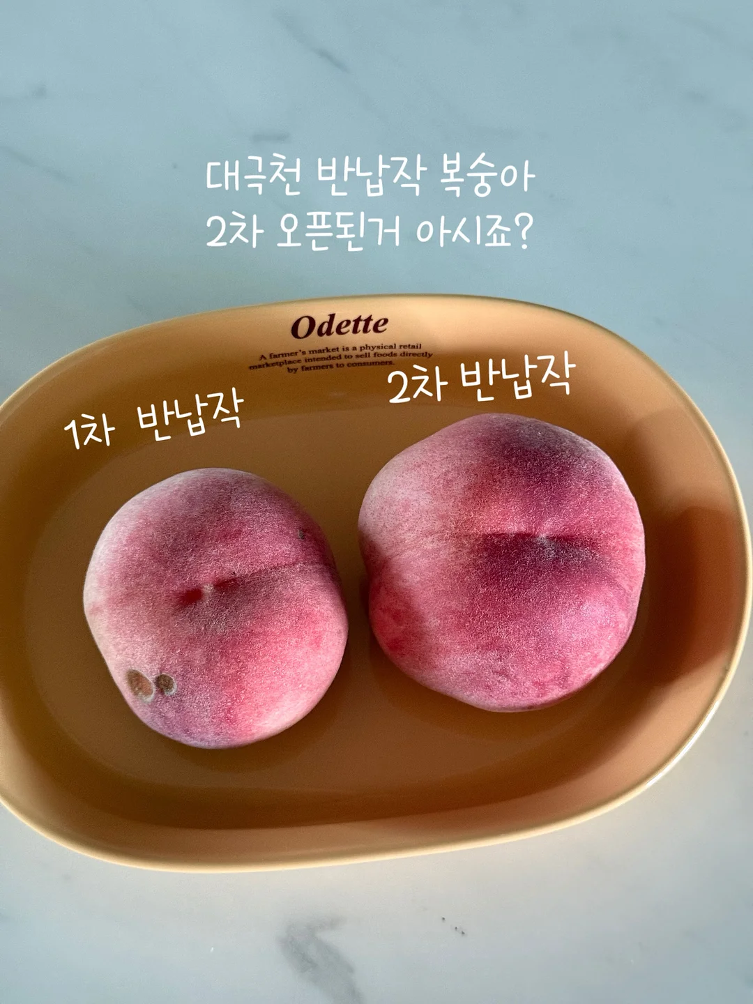 MOO 손목보호대 1