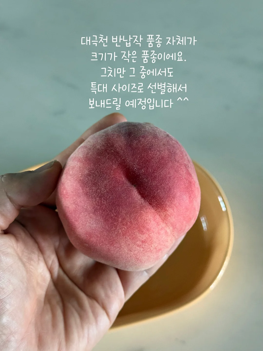 MOO 손목보호대 5
