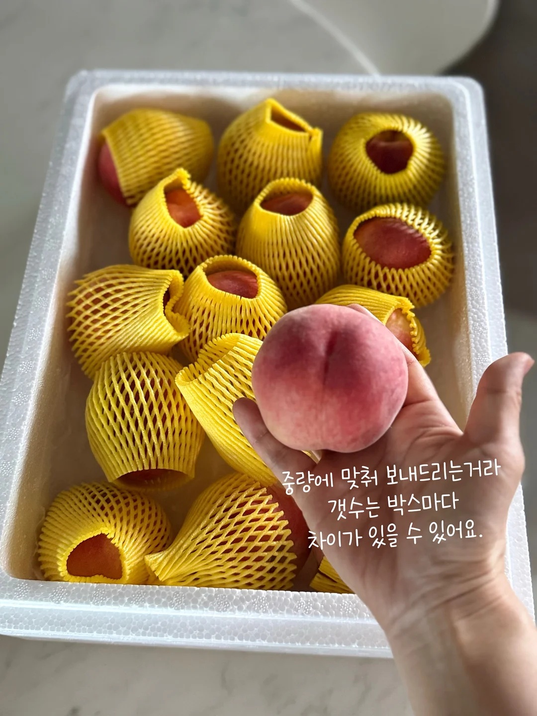 MOO 손목보호대 7