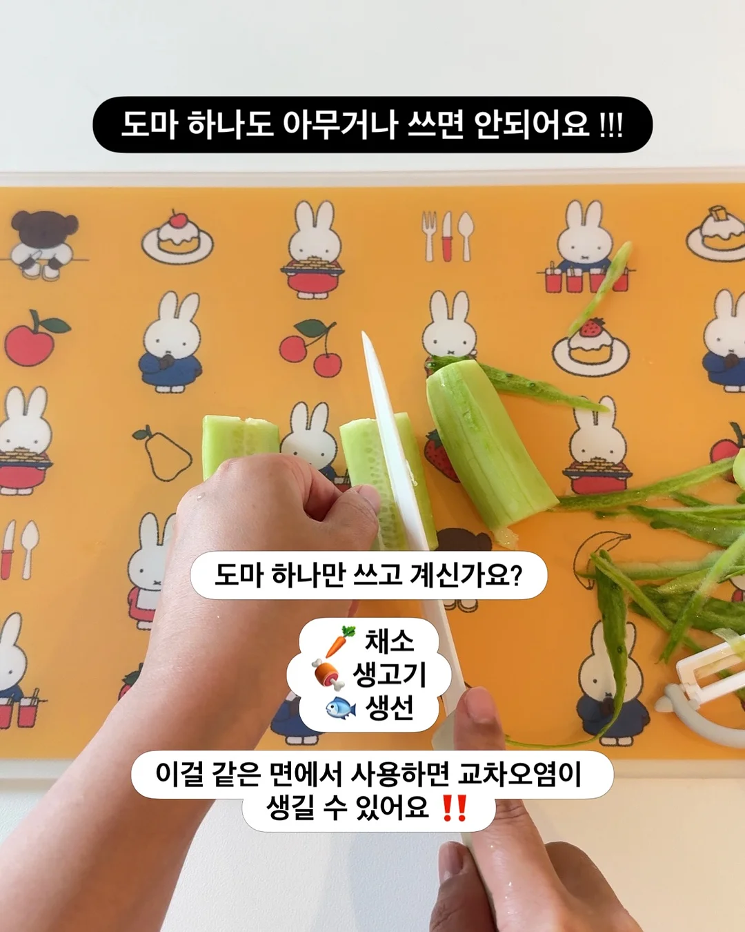와이드진 2