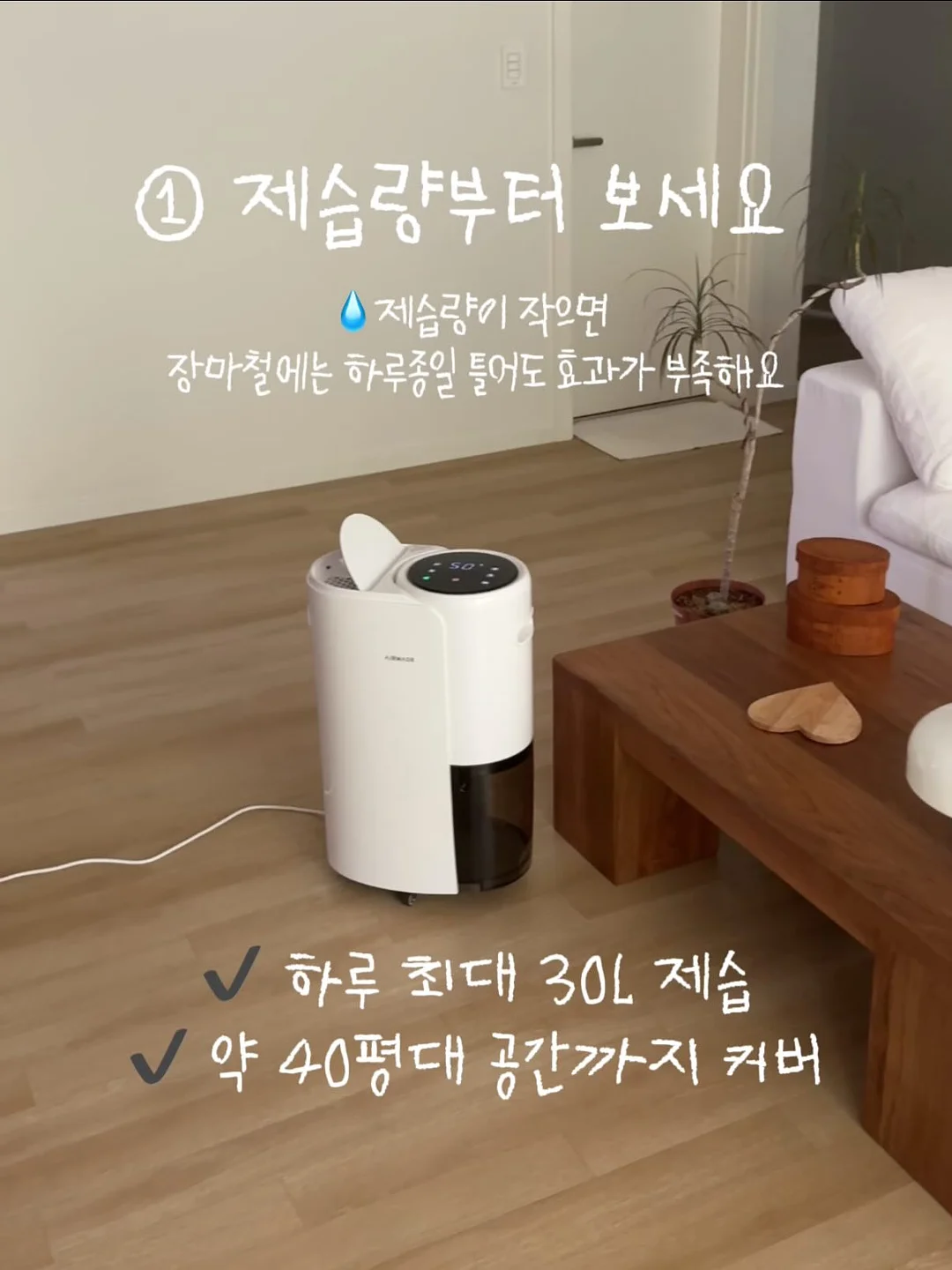 퍼스트라그랑T & 코튼카고반바지 2