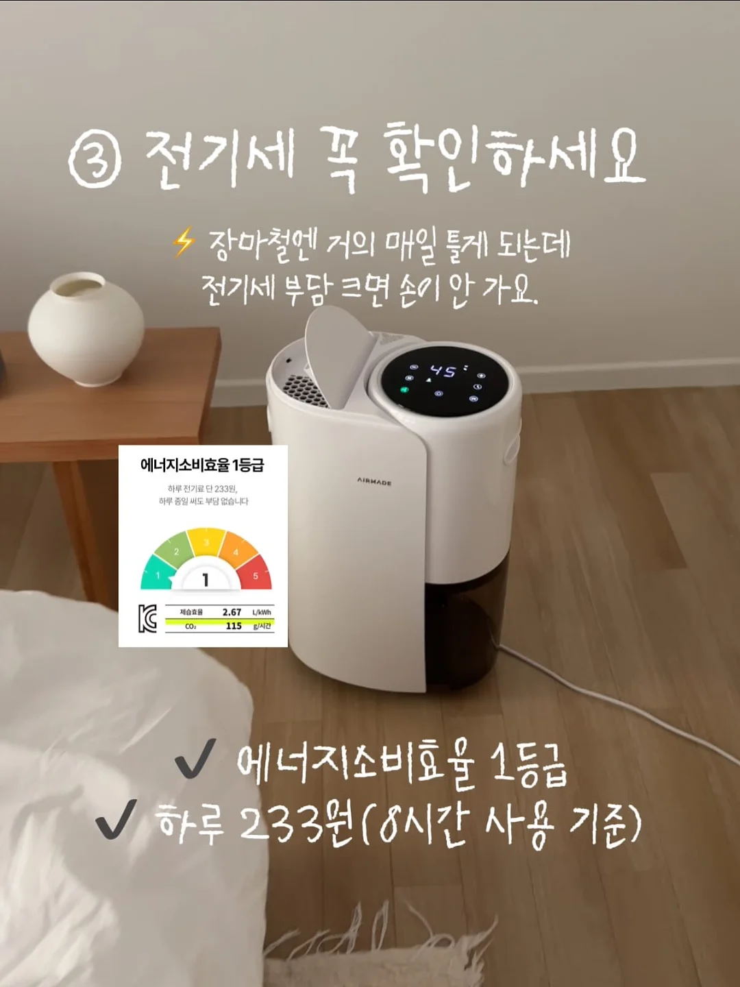 퍼스트라그랑T & 코튼카고반바지 5