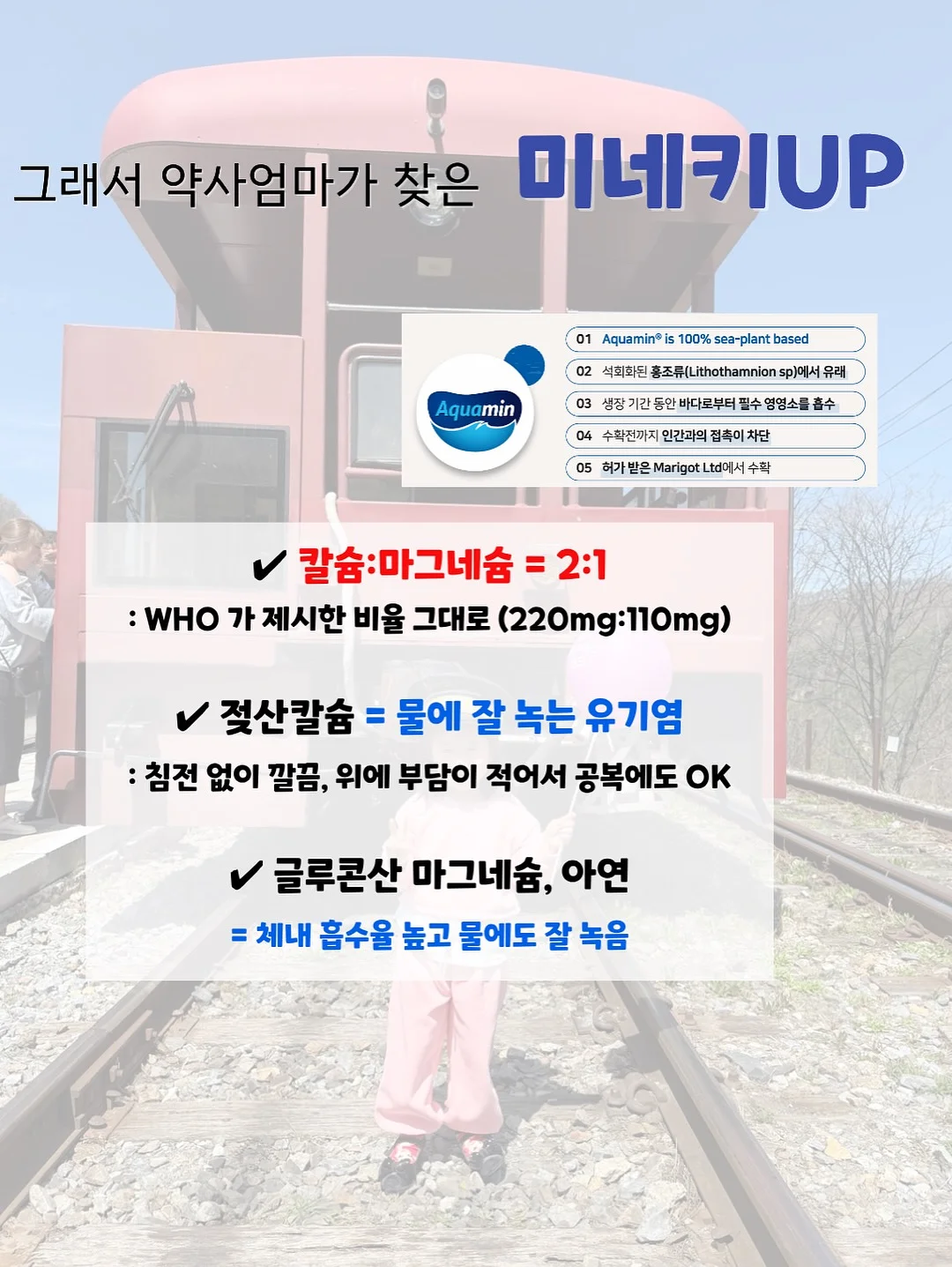 힌자백 쿨러백 4