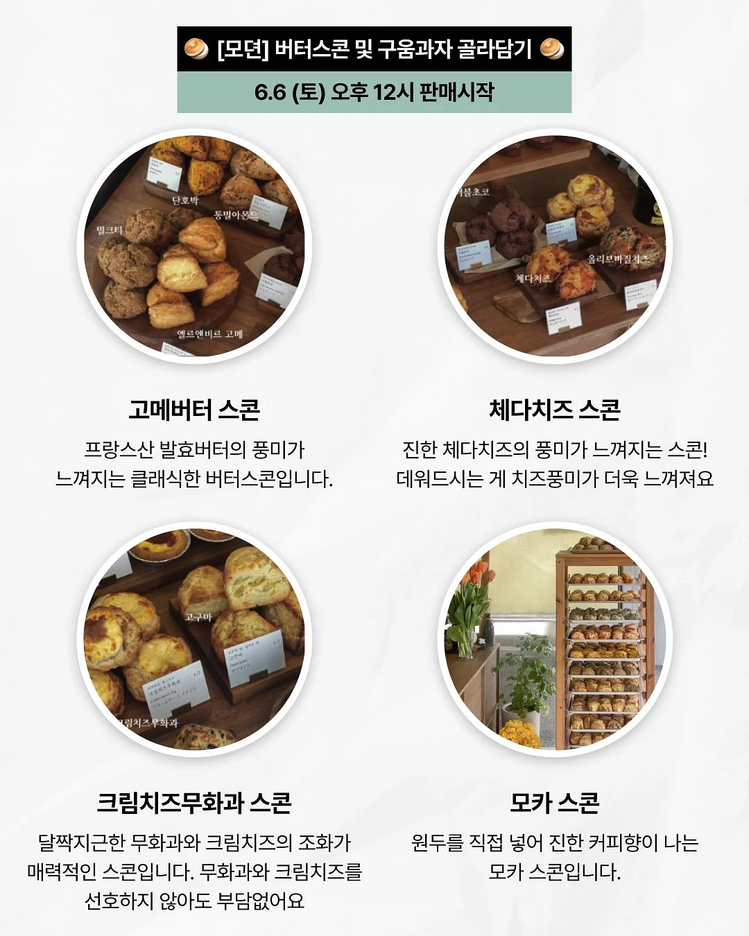 나인위시스 위시앰플 2