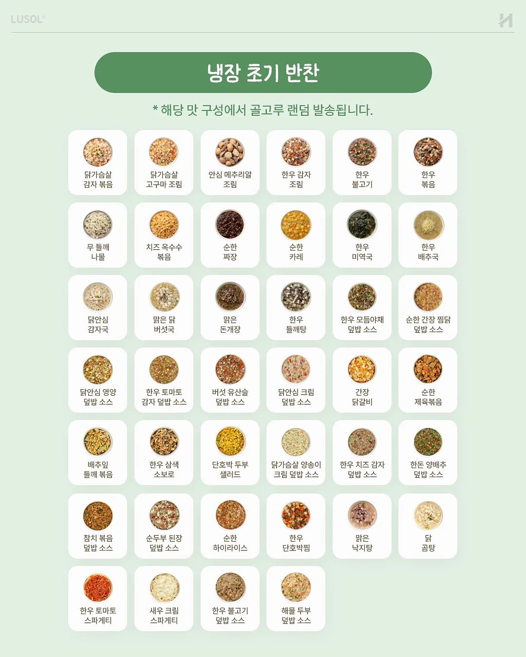 오아후 레오테리쇼츠 13