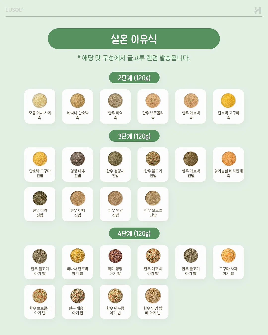 오아후 레오테리쇼츠 14