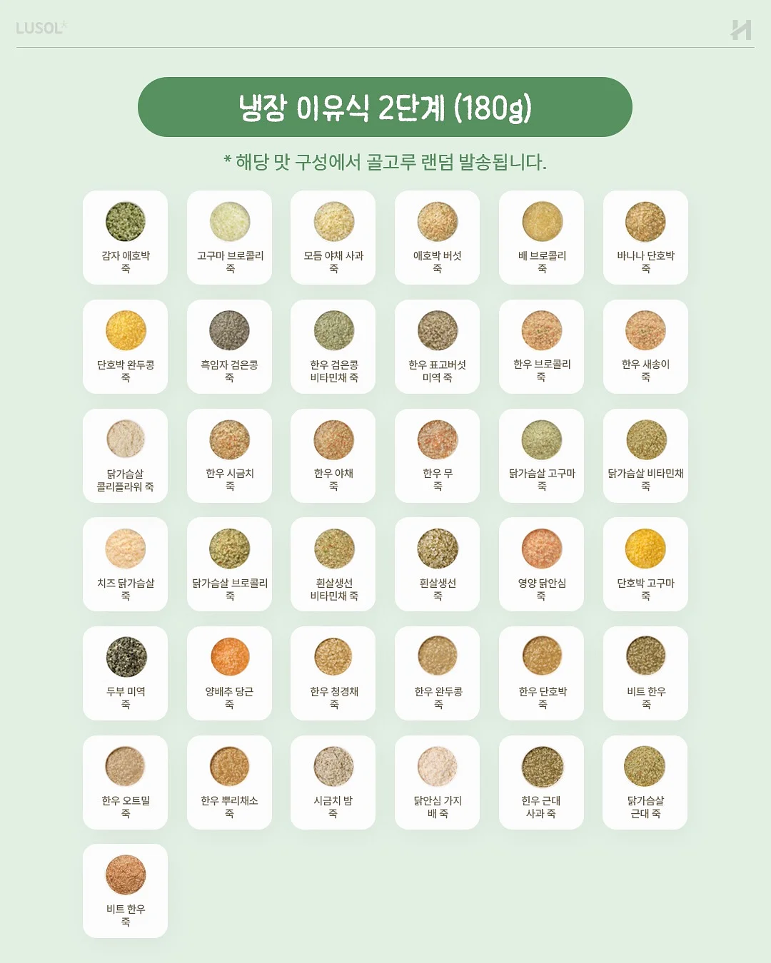 오아후 레오테리쇼츠 15