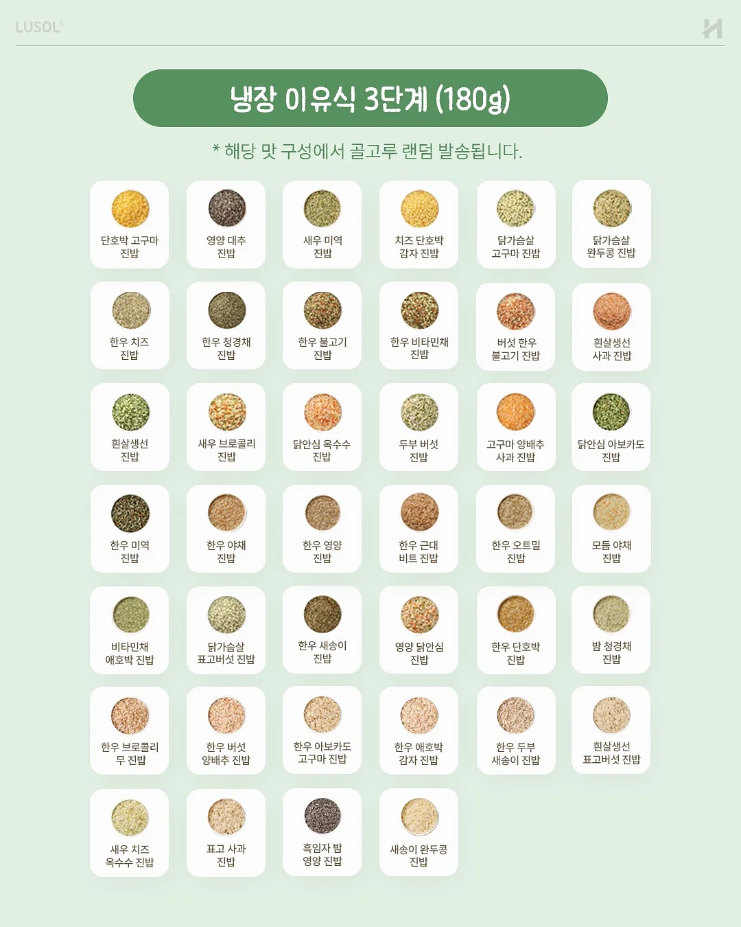 오아후 레오테리쇼츠 16